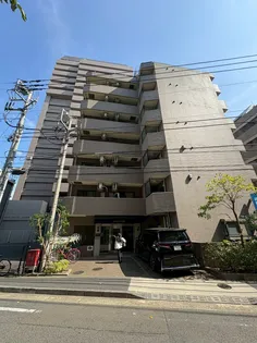 カテリーナ大森の画像