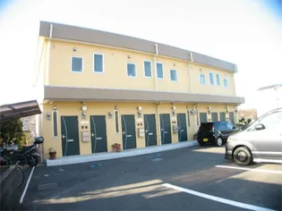 ブロッサムの画像