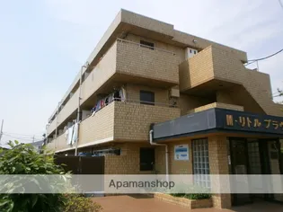 リトルブラウンの画像