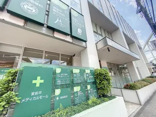 ベルデュール宮前平【3階】の周辺