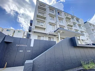 カメリアハイム【1階】の外観