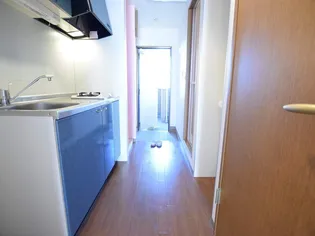 ビッグフィールド【303号室】の玄関