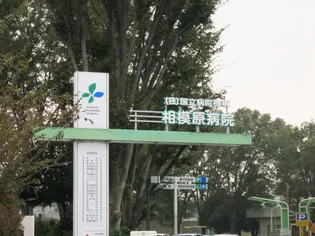 ビッグフィールド【303号室】の周辺