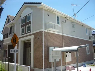 フォーレストの画像