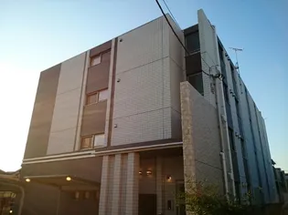 APRICOTの画像