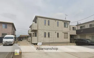 ゆずりはの画像