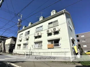 スター ポイントの画像