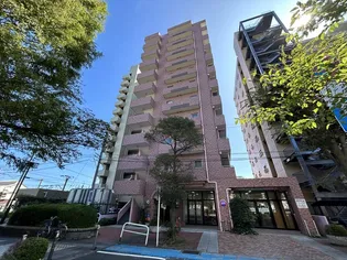 マイレコート【1003号室】の外観