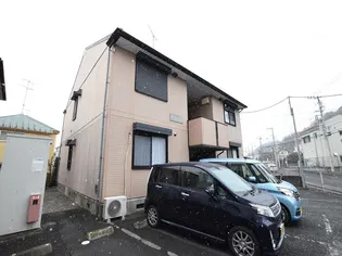 コーラルライフの画像