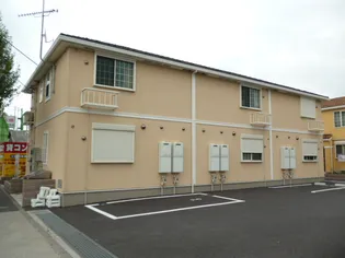 サニーブライトの画像