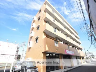 サングランの画像