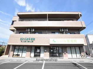 ブルックスソレイユの画像