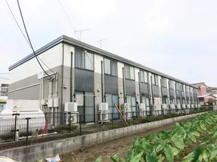 ソレイユの画像