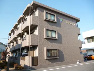 ウィステリアシードの画像