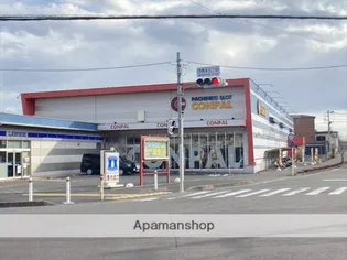 エステートピア丸山【1階】の周辺