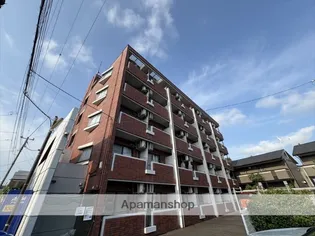 コンパニロスの画像