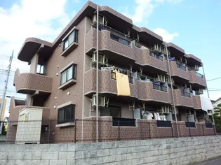 メイユールビジュの画像