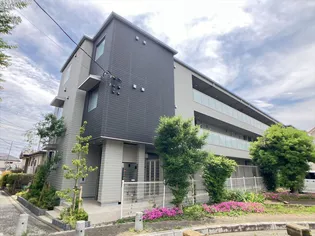 QUALISTA TANAの画像