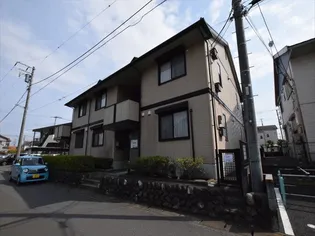 フローラMの画像