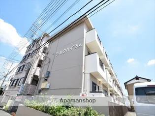 シルクハイツA【3階】の外観