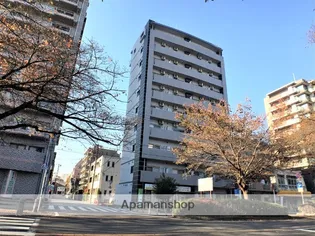 ソールレヴァンテの画像