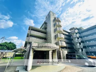 ドルフソニアドーロの画像