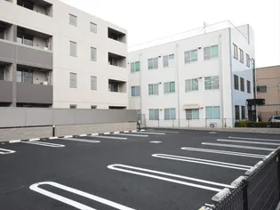 フレスコ エイの画像