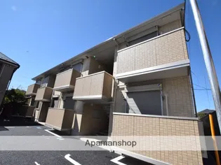 プラシードの画像