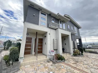 マリーゴールドの画像