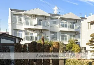 グリーンカーサIIIの画像