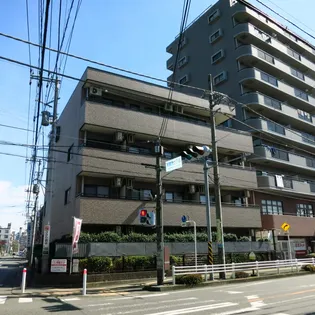 フル リールの画像