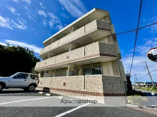 マルベリーの画像