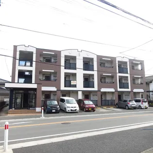 メゾン プリムローズの画像