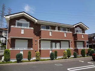 ヴィオラ マードレの画像