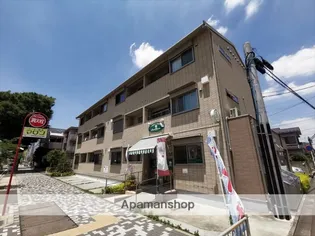 パピヨンの画像