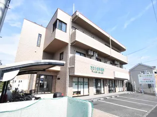 ブルックスソレイユの画像