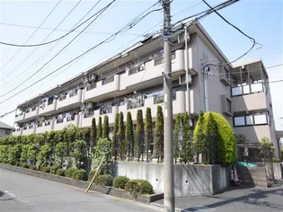 シャンドフルールの画像