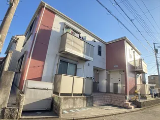 アムール パスティックの画像