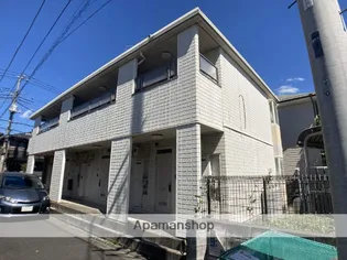 チャーミーゴリラの画像