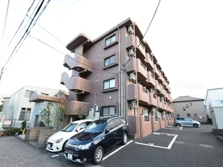 サクセスYの画像