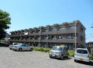 グレイスの画像