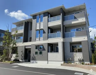 トランクイル Yの画像