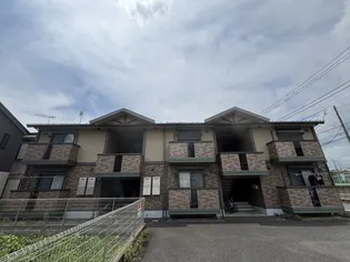 ピュアグレイスMIYAの画像