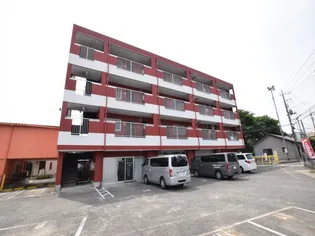 サンドリームの画像