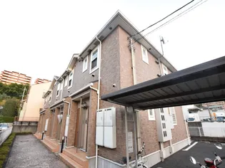 カトゥル セゾンの画像