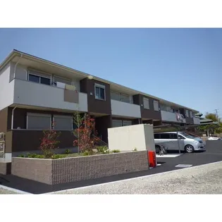 アムール 桜の画像