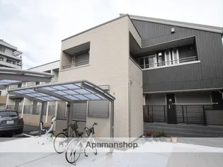 STELLA RIVAの画像