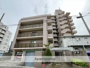 デュオアカシヤの画像