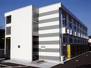 シンアイの画像