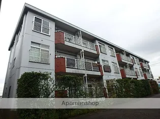 シャトレー新井の画像